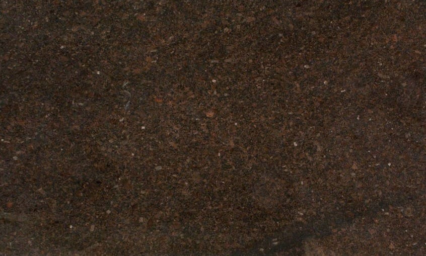 Coffee Brown Dual